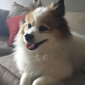 Meet your Posher, Syenne